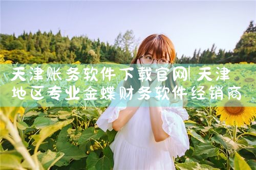 天津账务软件下载官网