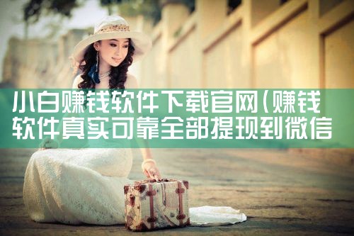 小白赚钱软件下载官网