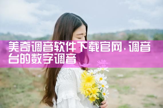 美奇调音软件下载官网