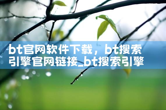 bt官网软件下载