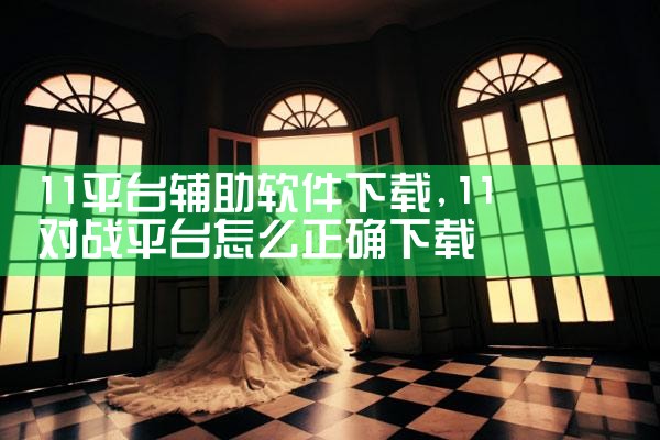 11平台辅助软件下载