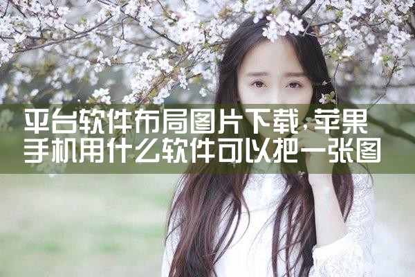 平台软件布局图片下载