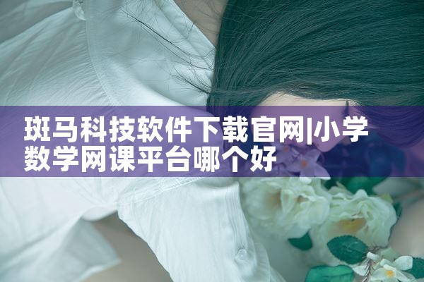 斑马科技软件下载官网