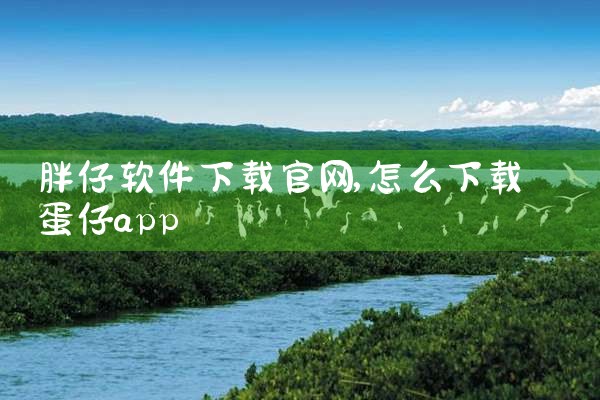 胖仔软件下载官网