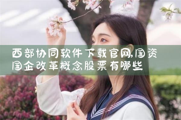 西部协同软件下载官网
