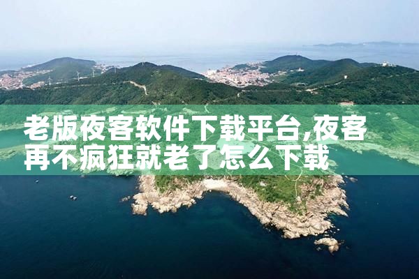 老版夜客软件下载平台