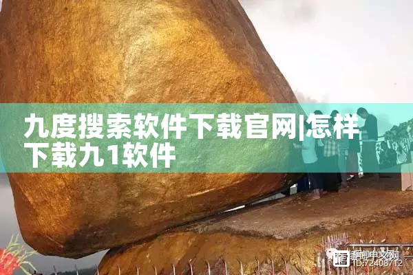 九度搜索软件下载官网