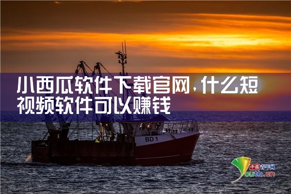 小西瓜软件下载官网
