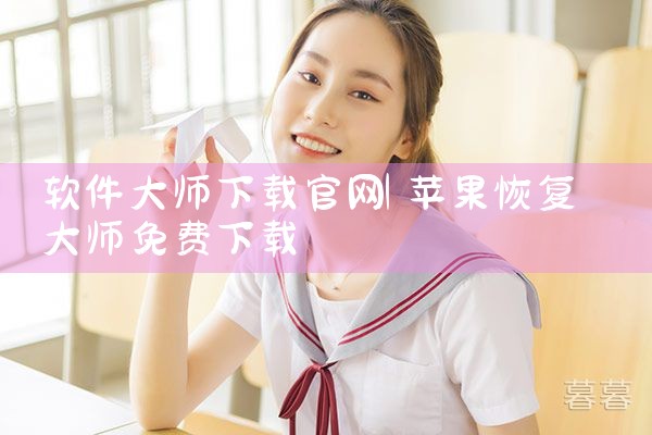 软件大师下载官网